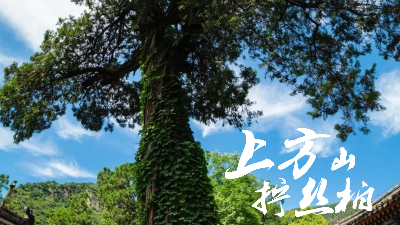 第二组