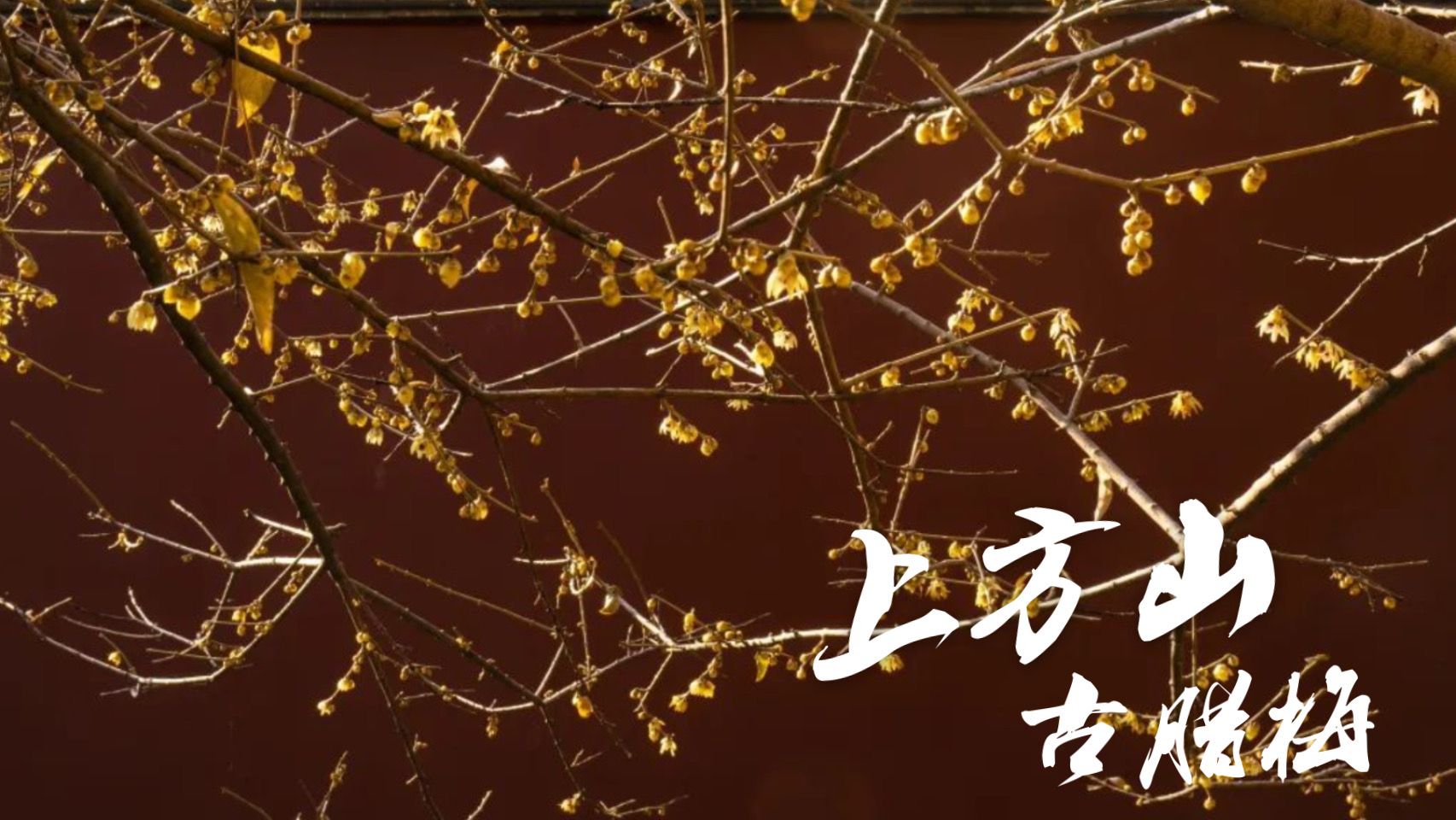 第二组